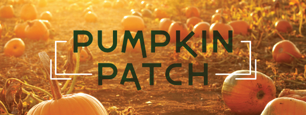 Pumpkin-Patch-2014-COMPASS