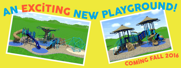 new-playground01-compass